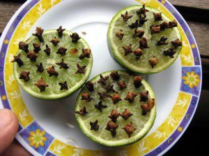 lime_clove_mosquito_repellent
