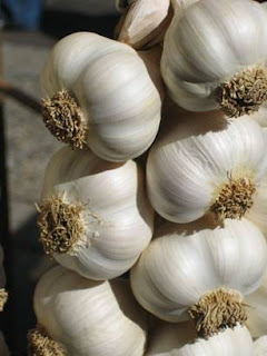 ATT2286955 www.thevegfusion.com